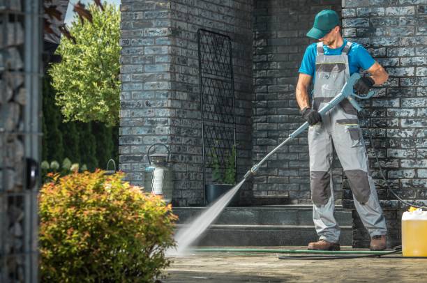 Best Roof Cleaning and Mildew Removal in Wrightstown, WI